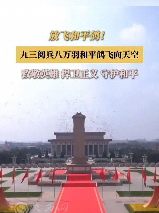 在特殊笼子放飞有的已经到家了8万羽和平鸽都是“借来”的关(图5)